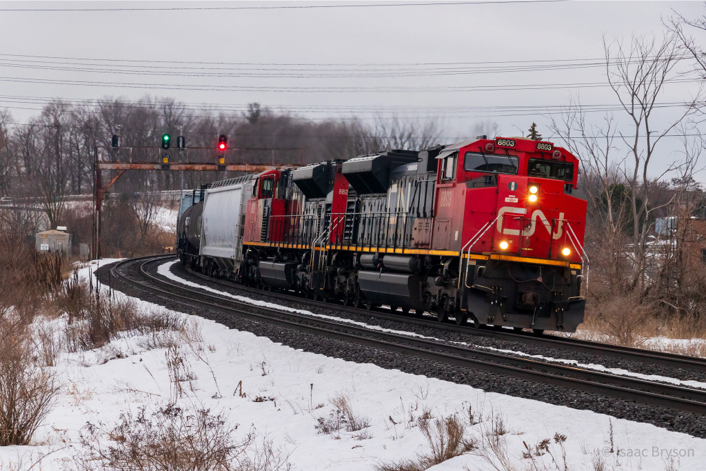 CN 8803